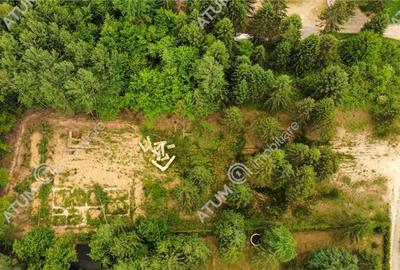 Teren intravilan de 3000 mp, în Porumbacu de Sus - 9