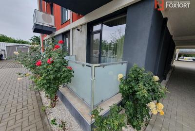 Apartament cu 2 camere, mobilat în Iosefin - 19