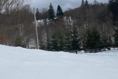 Teren de 800 mp, în Cheia - 5