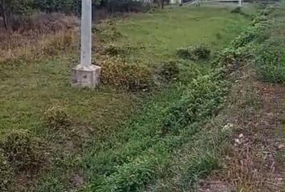 Teren de 12972 mp, în Ghiroda