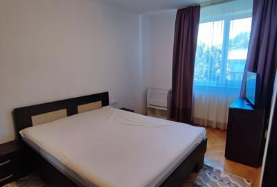 Apartament cu 2 camere semidecomandat în Dosu Bricii - 1