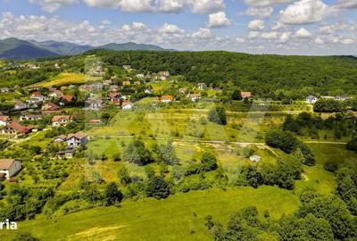 Spațiu comercial, în Cisnădioara