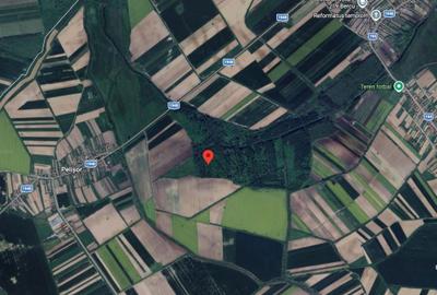 Spațiu comercial, în Bercu