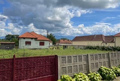 Casă individuală cu 4 camere cu Teren 1115 Mp în Totești - 6
