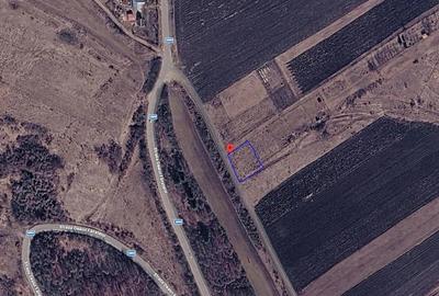 Teren de 780 mp, în Central