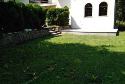 Casă cu 7 camere cu Teren 980 Mp în Râu de Mori - 5