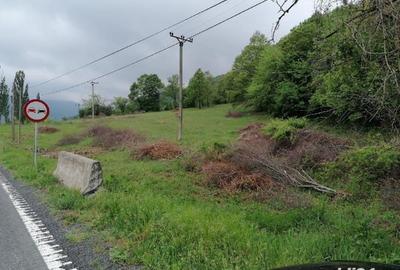 Teren de 2500 mp, în Sichevița - 4