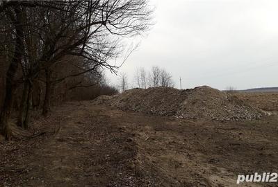 Teren de 1000 mp, în Băile Felix - 3