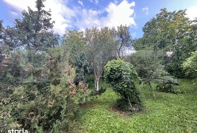 Casă cu 3 camere cu Teren 2800 Mp în Central - 13