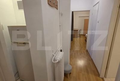 Apartament cu 2 camere decomandat, mobilat în Zorilor - 6