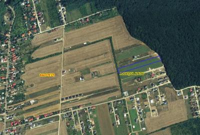 Teren Construcții intravilan de 8401 mp, în Balotești - 2