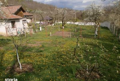 Teren de 120 mp, în Calvini - 8