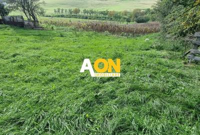 Teren Construcții intravilan de 4003 mp, în Periferie - 4