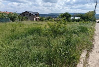 Teren Construcții intravilan de 1100 mp, în Horpaz - 6