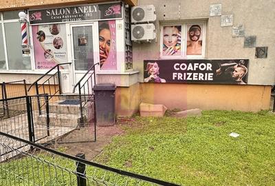 Spațiu comercial, de 36 mp, în Sebastian