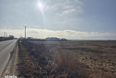 Teren de 450 mp, în Horia