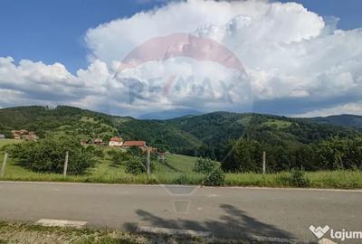 Teren de 128948 mp, în Munteni - 8