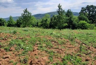 Teren de 3000 mp, în Mărgineni