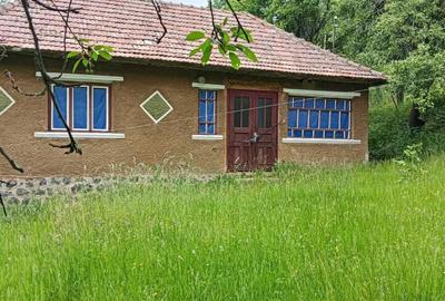 Casă cu 3 camere în Tranișu - 1