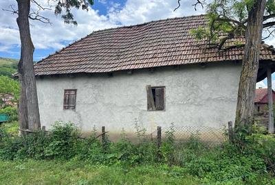 Casă cu Teren 800 Mp în Buza Cătun - 1