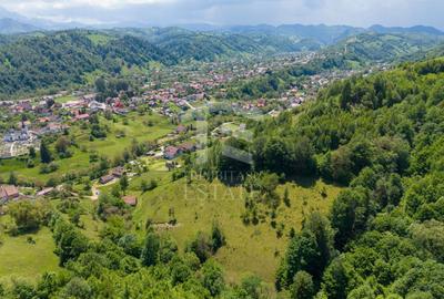 Teren Construcții intravilan de 11381 mp, în Moieciu - 10