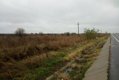 Teren Construcții intravilan de 10000 mp, în Băneasa - 18