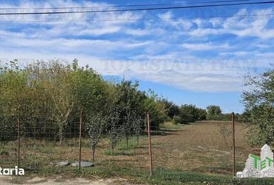 Teren de 2431 mp, în Măgurele