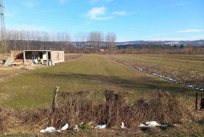 Teren de 2500 mp, în Mihăești - 1