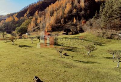 Teren Construcții intravilan de 1200 mp, în Moieciu - 7