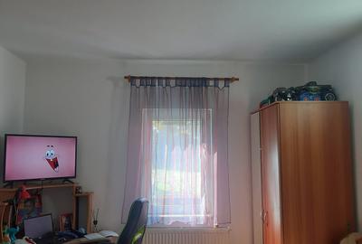 Casă cu 3 camere în Băcia