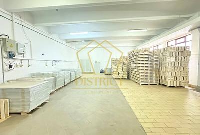 Spațiu industrial, de 1,447 mp, în Freidorf - 3