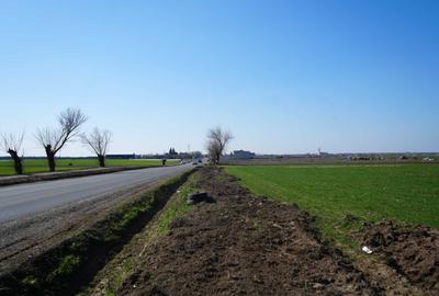 Teren de 10000 mp, în Zădăreni