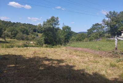 Teren de 4630 mp, în Becaș - 4