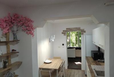 Apartament cu 3 camere semidecomandat în Iosefin