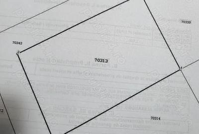 Teren de 2000 mp, în Ferești - 1
