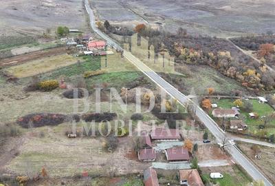 Casă individuală cu 4 camere cu Canalizare în Cuveșdia - 16