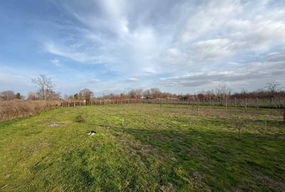 Casă cu 3 camere cu Teren 4858 Mp în Silistraru - 3
