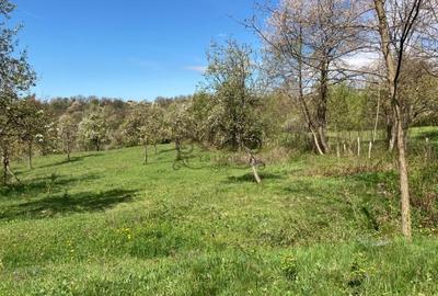 Teren Construcții intravilan de 4905 mp, în Albeștii de Muscel - 4