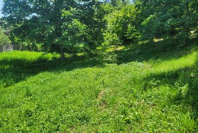 Teren intravilan de 960 mp, în 9 Mai - 1