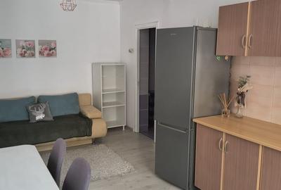 Apartament cu 2 camere semidecomandat în Între Lacuri - 18