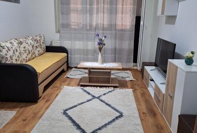 Garsonieră semidecomandată în Runcu - 3