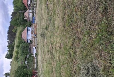 Casă cu Teren 1300 Mp în Sălciua