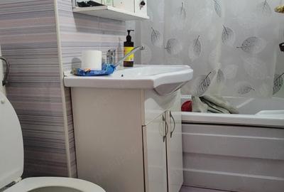 Apartament cu 3 camere semidecomandat în Banat