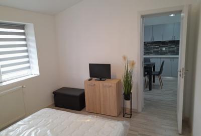 Apartament cu 2 camere decomandat în Petru Rareș - 4