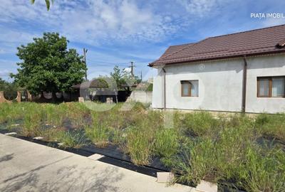Casă individuală cu 10 camere cu Garaj în Bungetu - 3