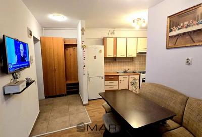 Apartament cu 2 camere decomandat în Turnișor