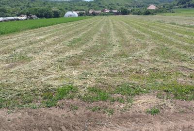 Teren Construcții intravilan de 3024 mp, în Totoi - 2