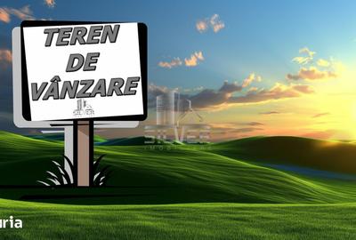 Teren de 870 mp, în Ciurila