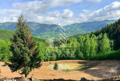 Teren de 18000 mp, în Central - 6