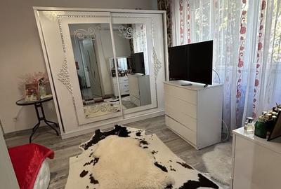 Apartament cu 2 camere decomandat în Nufărul